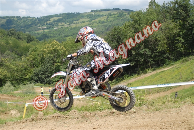 paroldo 241.jpg